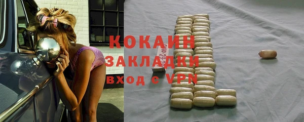 твердый Новозыбков