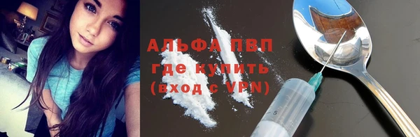 твердый Новозыбков