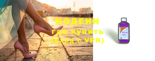 твердый Новозыбков