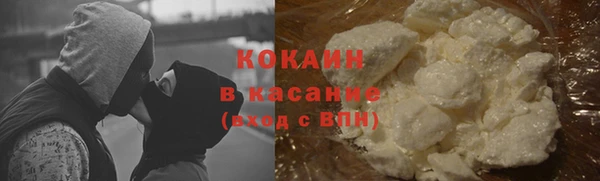 твердый Новозыбков
