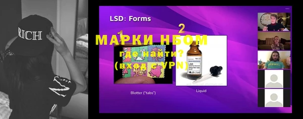 твердый Новозыбков