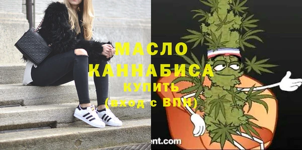 твердый Новозыбков
