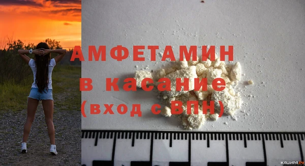 твердый Новозыбков