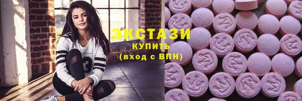 твердый Новозыбков