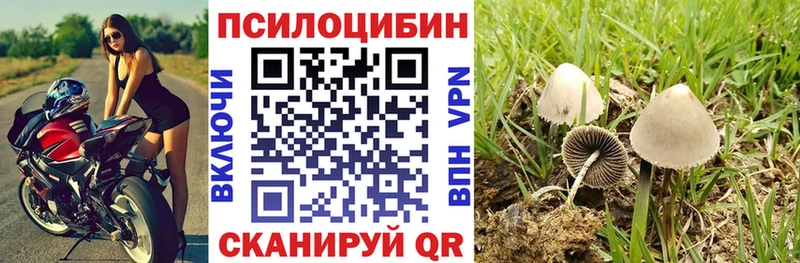 Псилоцибиновые грибы Psilocybine cubensis  Кущёвская 