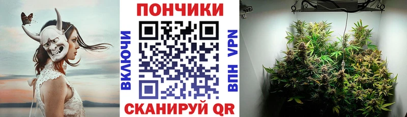 где купить   Кущёвская  МАРИХУАНА THC 21% 